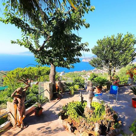 La Rosa Del Sud - De Vivo Realty Sorrento 아파트 외부 사진