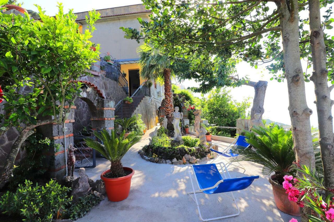 La Rosa Del Sud - De Vivo Realty Sorrento 아파트 외부 사진
